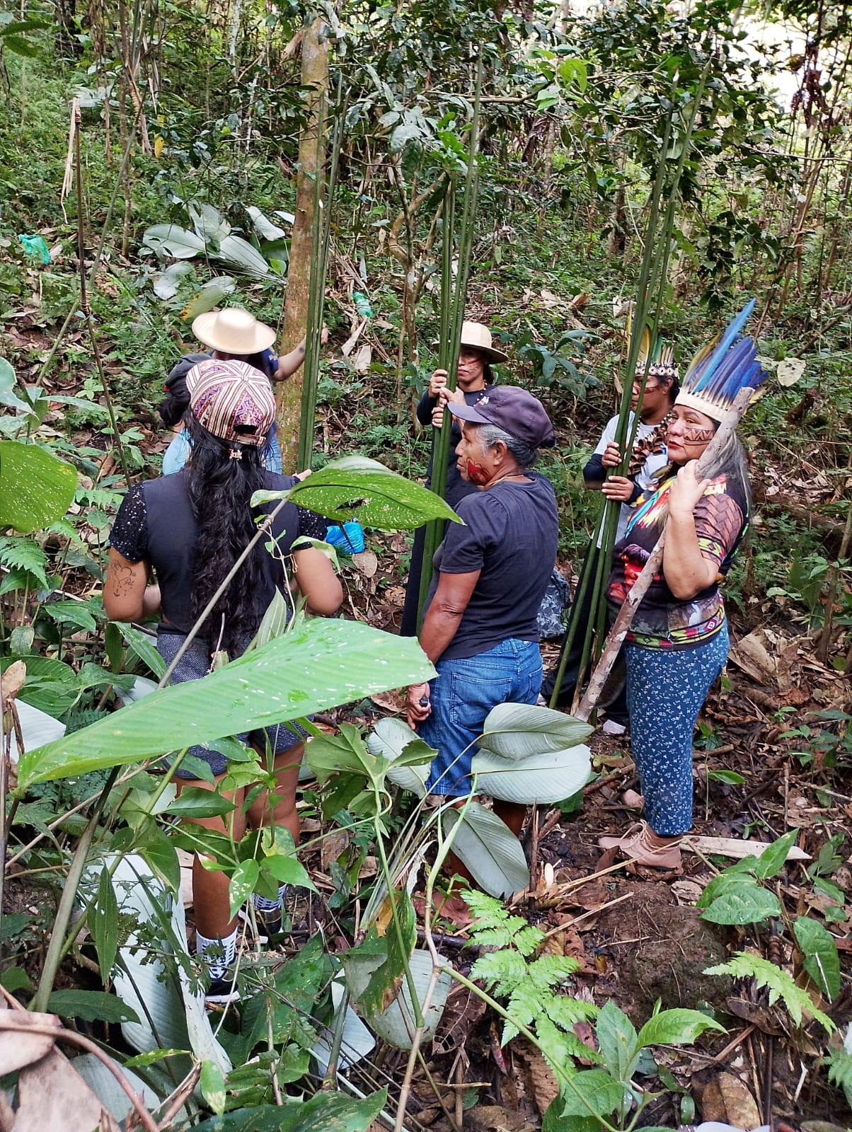 Ação formativa técnica